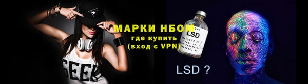 стафф Надым