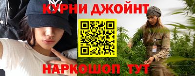 гидра Гатчина