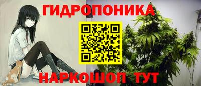 сатива Гагарин