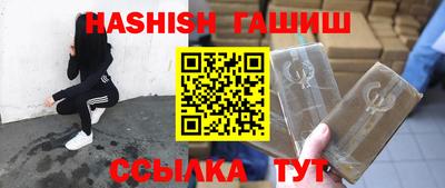 гидра Гатчина