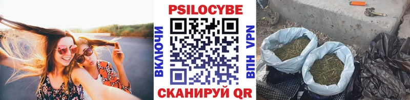 магазин  наркотиков  Ессентуки  Галлюциногенные грибы Magic Shrooms 