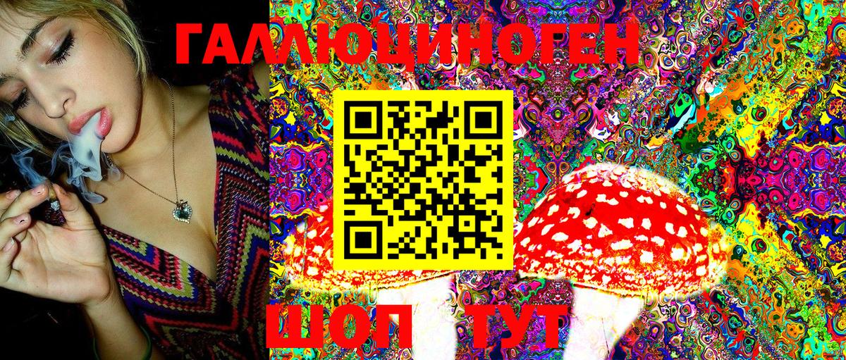 Псилоцибиновые грибы ЛСД  сколько стоит  Ессентуки  Галлюциногенные грибы Psilocybine cubensis 