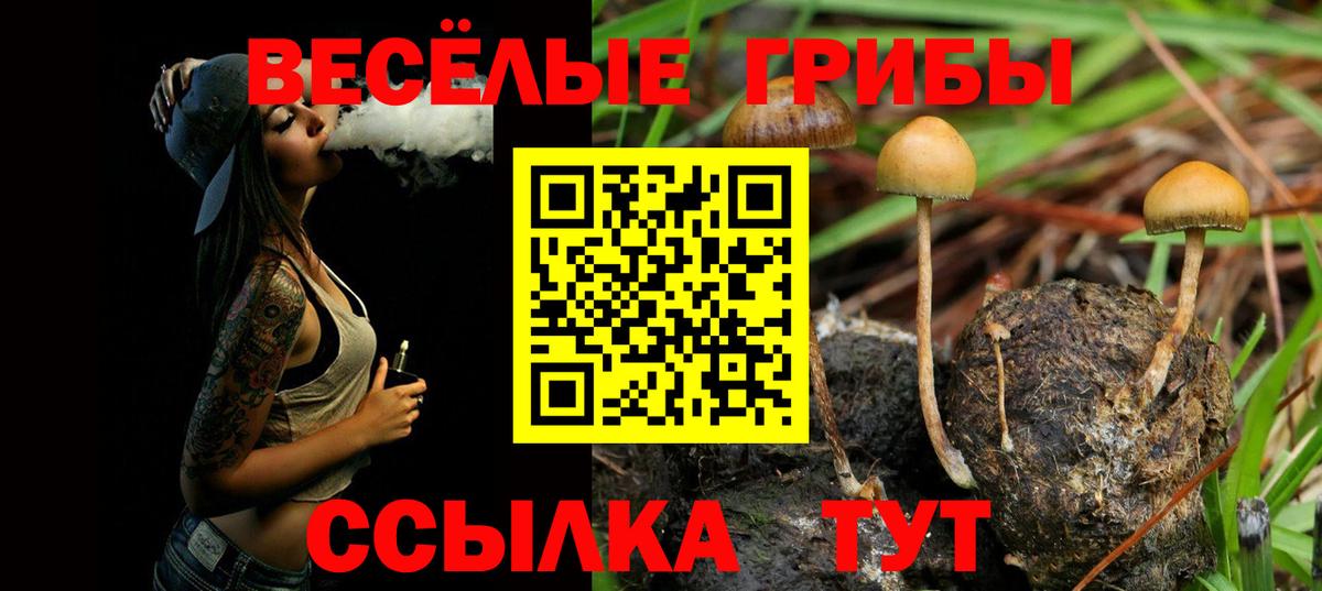 Галлюциногенные грибы мухоморы Ессентуки