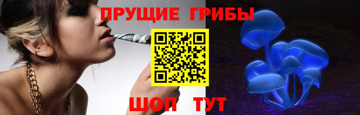 Псилоцибиновые грибы мухоморы  Галлюциногенные грибы Psilocybe  купить закладку  Вход с VPN  Ессентуки 