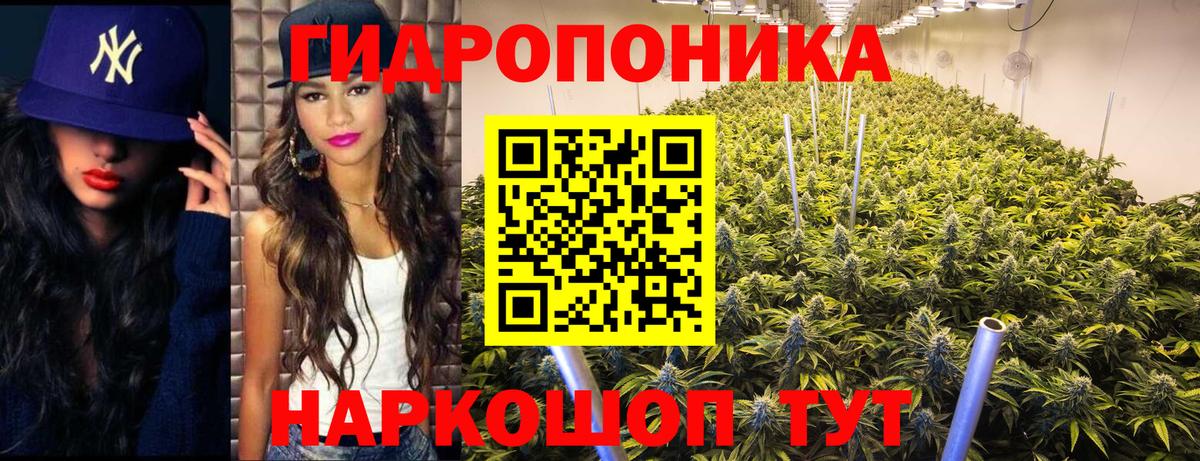 Конопля Amnesia Ессентуки